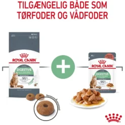 Online Royal Canin Digestive Care 4 kg Kattefoder & Snacks