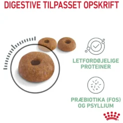 Online Royal Canin Digestive Care 4 kg Kattefoder & Snacks