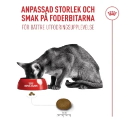 New Royal Canin Exigent FHN Fussy 2 kg Kattefoder & Snacks