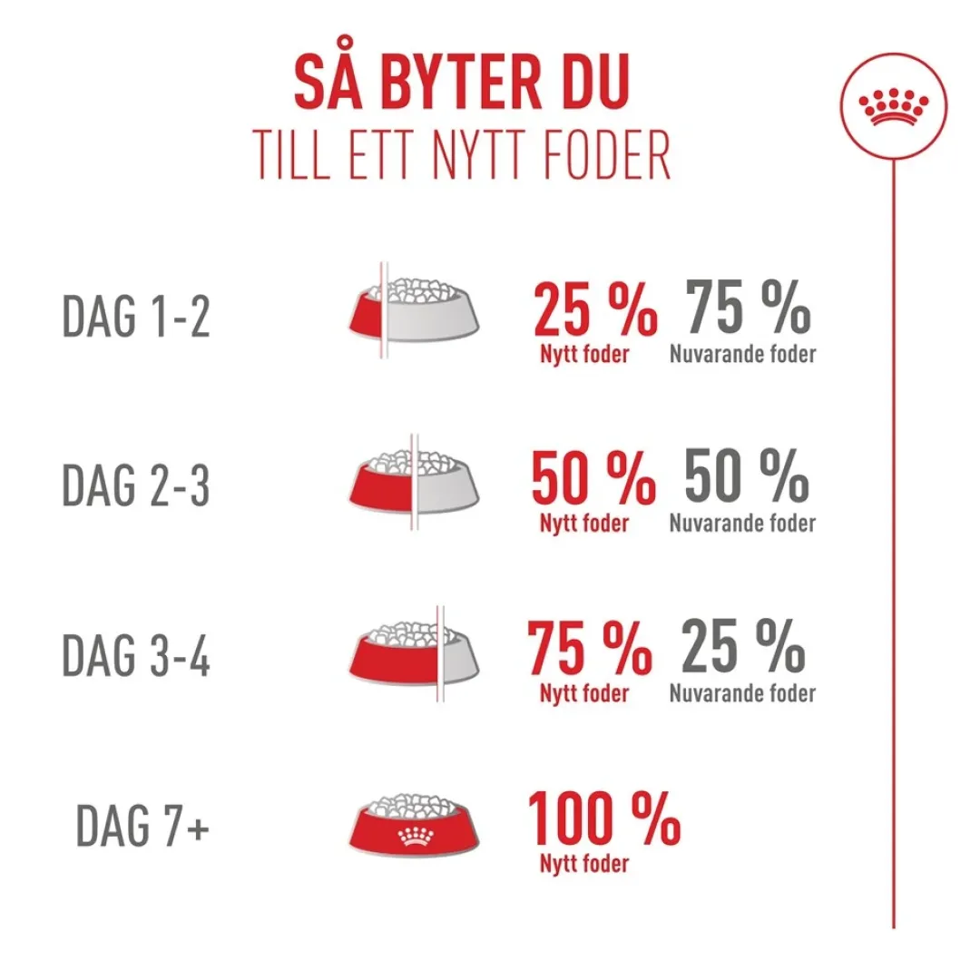 Online Royal Canin Exigent FHN Fussy 4 kg Kattefoder & Snacks