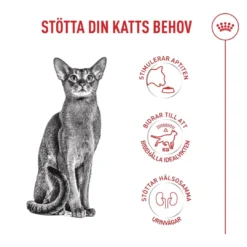 Online Royal Canin Exigent FHN Fussy 4 kg Kattefoder & Snacks