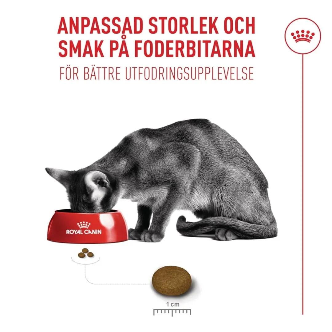 Online Royal Canin Exigent FHN Fussy 10kg Kattefoder & Snacks