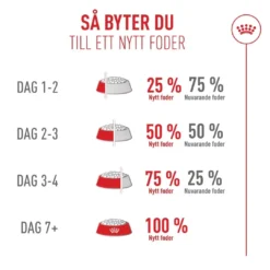 Online Royal Canin Exigent FHN Fussy 10kg Kattefoder & Snacks