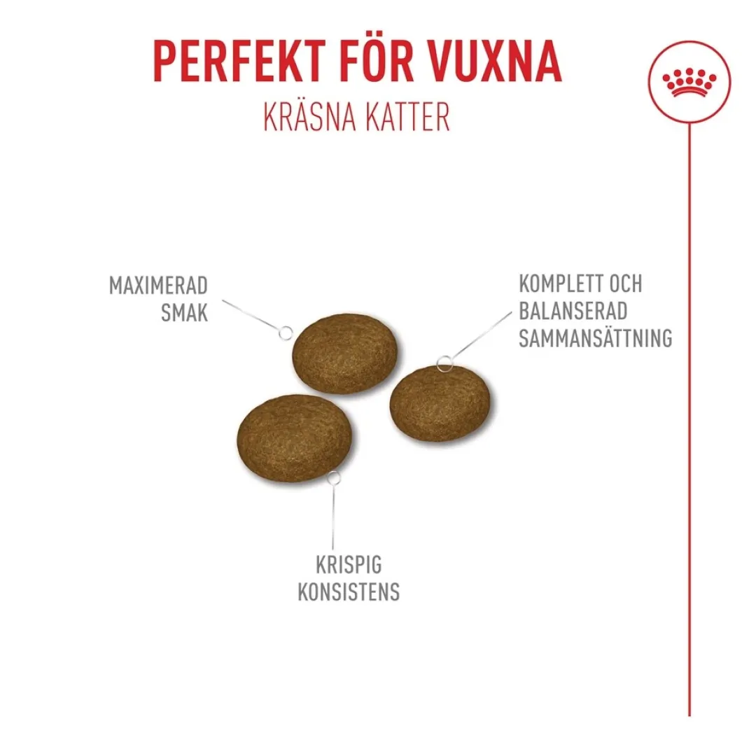 Online Royal Canin Exigent FHN Fussy 10kg Kattefoder & Snacks