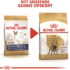 Clearance Royal Canin French Bulldog Adult 9 kg - tørfoder til voksne hunde Hundefoder|Tørfoder Til Hunde I Alle Størrelser Og Aldre