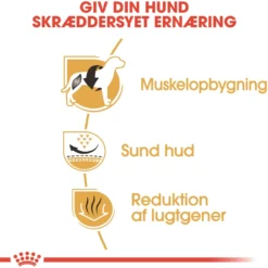Clearance Royal Canin French Bulldog Adult 9 kg - tørfoder til voksne hunde Hundefoder|Tørfoder Til Hunde I Alle Størrelser Og Aldre