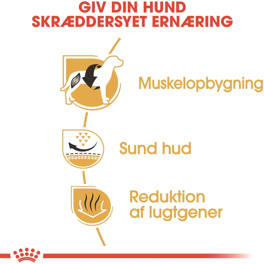 Clearance Royal Canin French Bulldog Adult 9 kg - tørfoder til voksne hunde Hundefoder|Tørfoder Til Hunde I Alle Størrelser Og Aldre