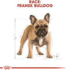 Clearance Royal Canin French Bulldog Adult 9 kg - tørfoder til voksne hunde Hundefoder|Tørfoder Til Hunde I Alle Størrelser Og Aldre