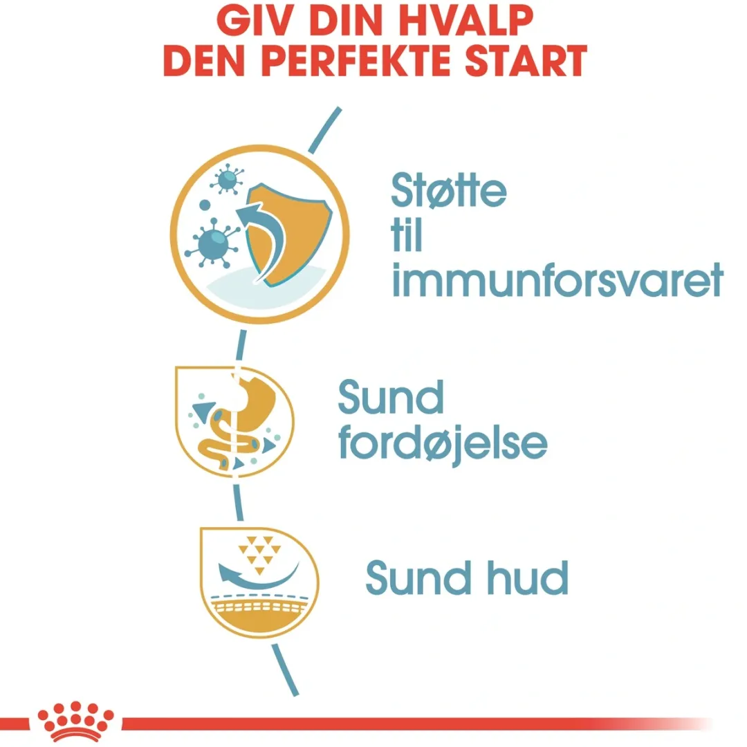 Clearance Royal Canin French Bulldog Puppy 3 kg - fuldfoder til hvalpe Hundefoder|Tørfoder Til Hunde I Alle Størrelser Og Aldre