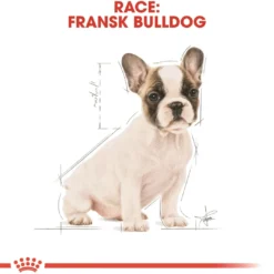 Hot Royal Canin French Bulldog Puppy 10 kg - tørfoder til hvalpe Hundefoder|Tørfoder Til Hunde I Alle Størrelser Og Aldre