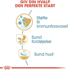 Hot Royal Canin French Bulldog Puppy 10 kg - tørfoder til hvalpe Hundefoder|Tørfoder Til Hunde I Alle Størrelser Og Aldre