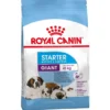Royal Canin Giant Starter Mother & BabyDog 15 kg - hvalpefoder til kæmperacer og tæver Hundefoder|Tørfoder Til Hunde I Alle Størrelser Og Aldre