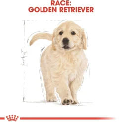 Royal Canin Golden Retriever Puppy 12 kg - tørfoder til hvalpe Hundefoder|Tørfoder Til Hunde I Alle Størrelser Og Aldre