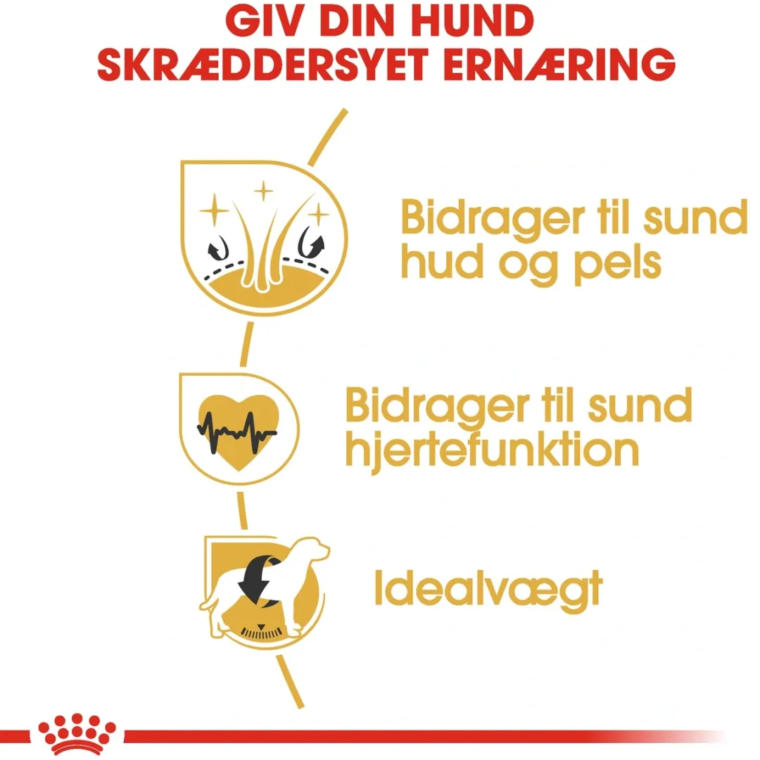 Best Royal Canin Golden Retriever Adult 12 kg - tørfoder til voksne hunde Hundefoder|Tørfoder Til Hunde I Alle Størrelser Og Aldre