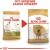 Online Royal Canin Great Dane Adult 12 kg - tørfoder til voksne hunde Hundefoder|Tørfoder Til Hunde I Alle Størrelser Og Aldre