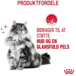 Best Royal Canin Hair and Skin 2 kg Kattefoder & Snacks