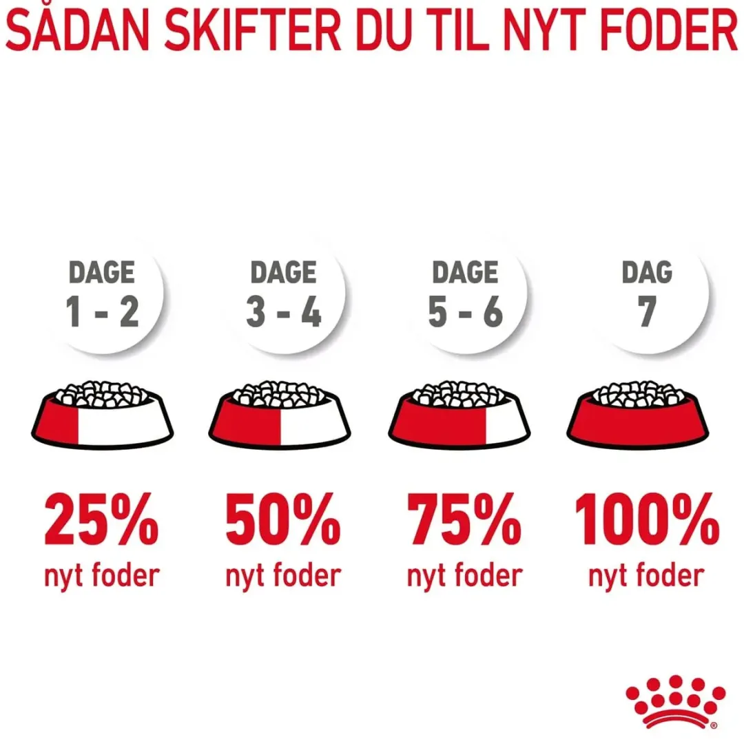 Best Royal Canin Hair and Skin 2 kg Kattefoder & Snacks