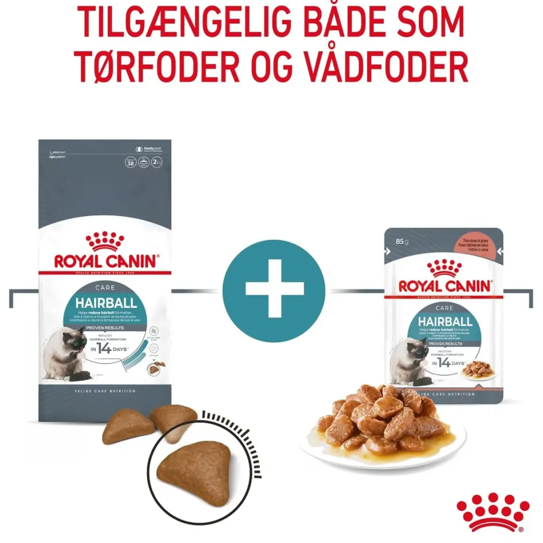 Online Royal Canin Hairball Care 4 kg Kattefoder & Snacks