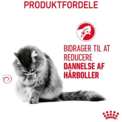 Online Royal Canin Hairball Care 4 kg Kattefoder & Snacks