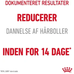 New Royal Canin Hairball Care 10 kg Kattefoder & Snacks