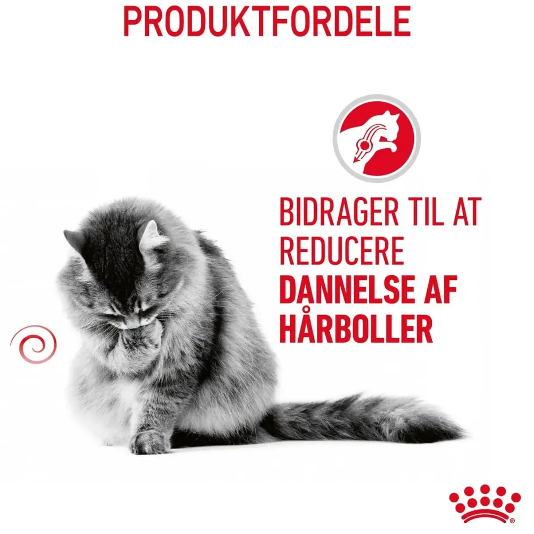 Hot Royal Canin Hairball Care Sovs - vådfoder 85 g Kattefoder & Snacks