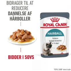 Hot Royal Canin Hairball Care Sovs - vådfoder 85 g Kattefoder & Snacks