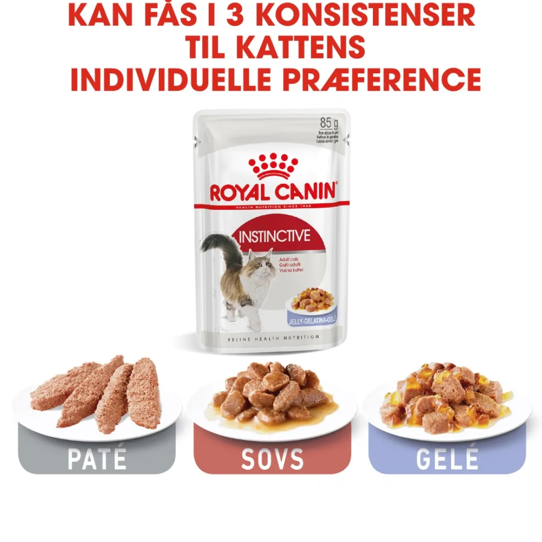 Clearance Royal Canin Instinctive Jelly - vådfoder 85 g Kattefoder & Snacks