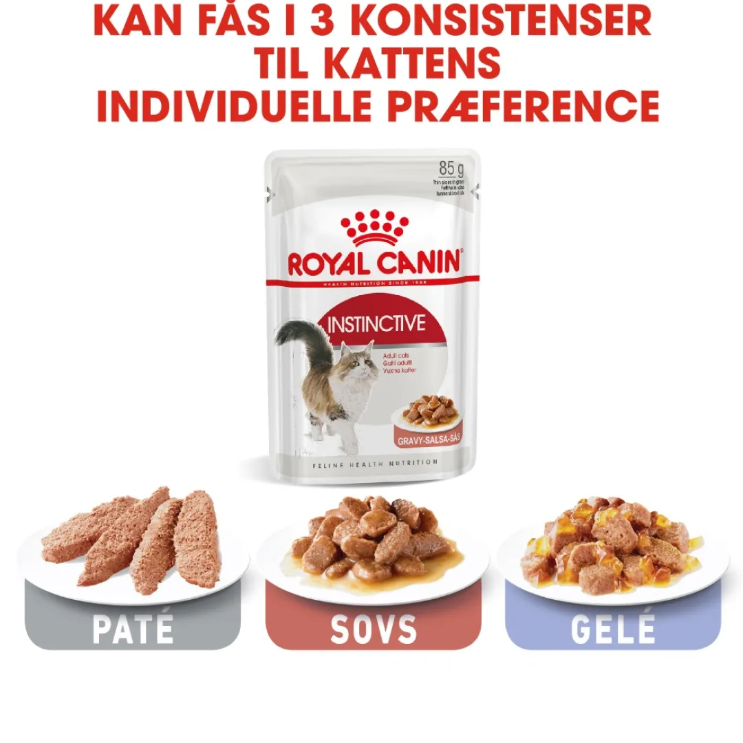 Clearance Royal Canin Instinctive Sovs - vådfoder 85 g Kattefoder & Snacks