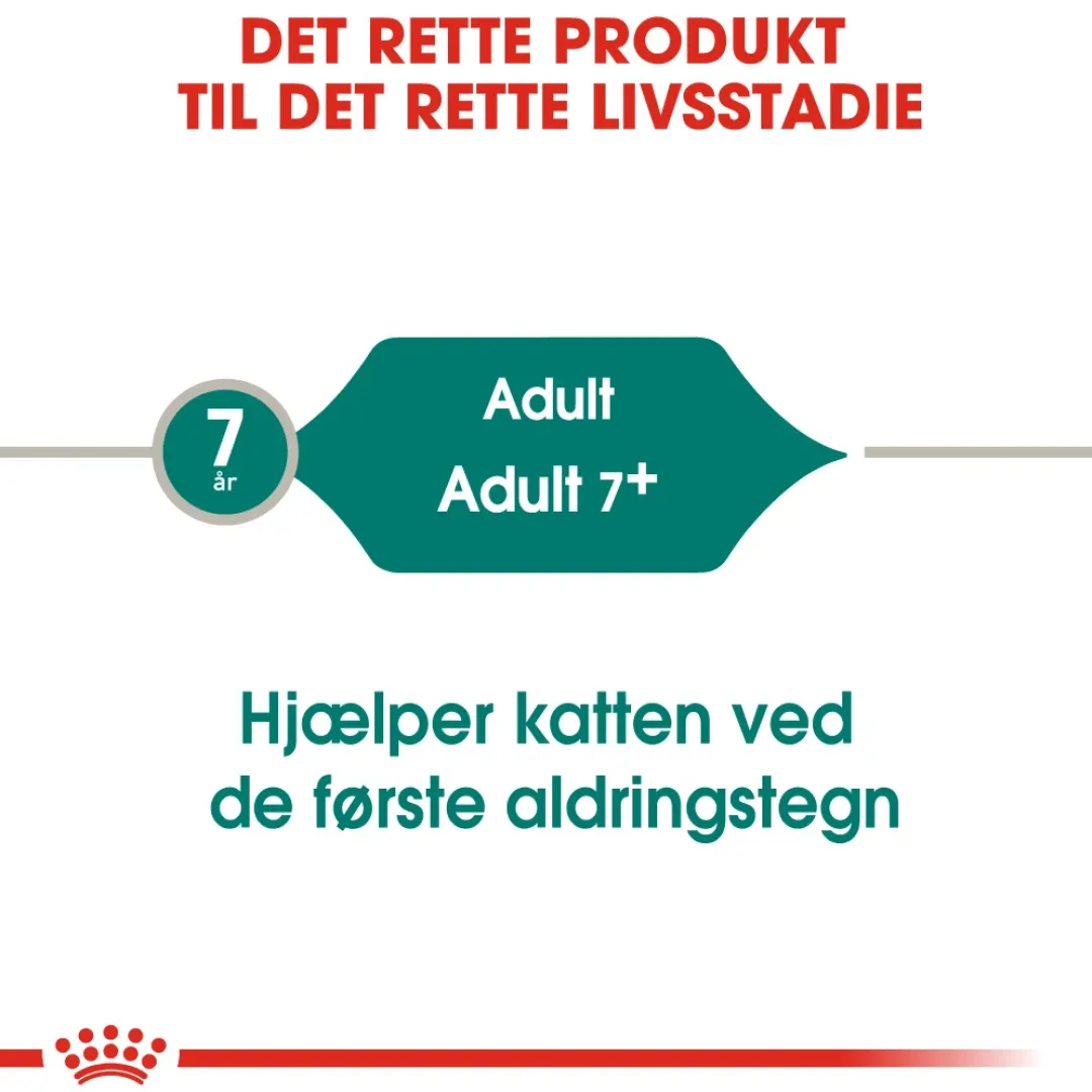 Outlet Royal Canin Instinctive +7 Sovs - vådfoder 85 g Kattefoder & Snacks
