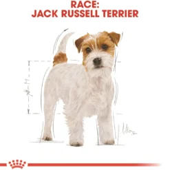 Hot Royal Canin Jack Russell Adult 12 kg - tørfoder til voksne hunde Hundefoder|Tørfoder Til Hunde I Alle Størrelser Og Aldre