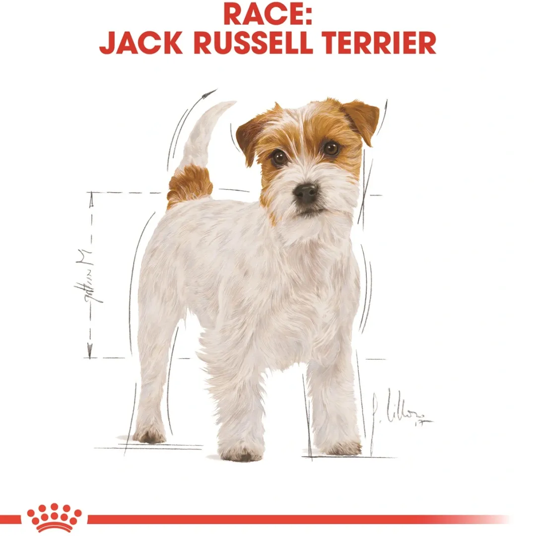 Hot Royal Canin Jack Russell Adult 12 kg - tørfoder til voksne hunde Hundefoder|Tørfoder Til Hunde I Alle Størrelser Og Aldre