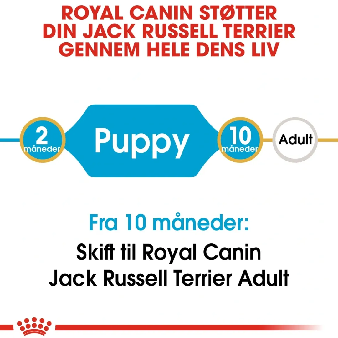 Sale Royal Canin Jack Russell Puppy 1,5 kg - hvalpefoder til energi og vækst Hundefoder|Tørfoder Til Hunde I Alle Størrelser Og Aldre