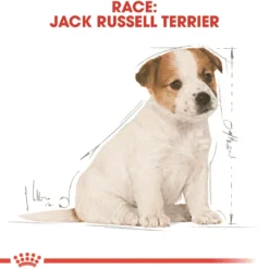 Sale Royal Canin Jack Russell Puppy 1,5 kg - hvalpefoder til energi og vækst Hundefoder|Tørfoder Til Hunde I Alle Størrelser Og Aldre