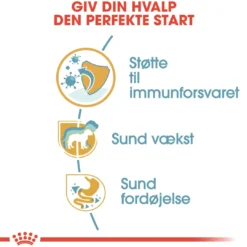Sale Royal Canin Jack Russell Puppy 1,5 kg - hvalpefoder til energi og vækst Hundefoder|Tørfoder Til Hunde I Alle Størrelser Og Aldre