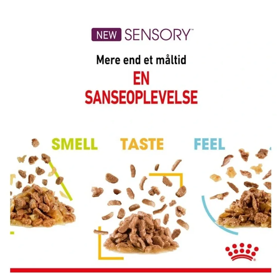 Hot Royal Canin Kattevådmad Sensory Smell Sovs Adult Kattefoder & Snacks