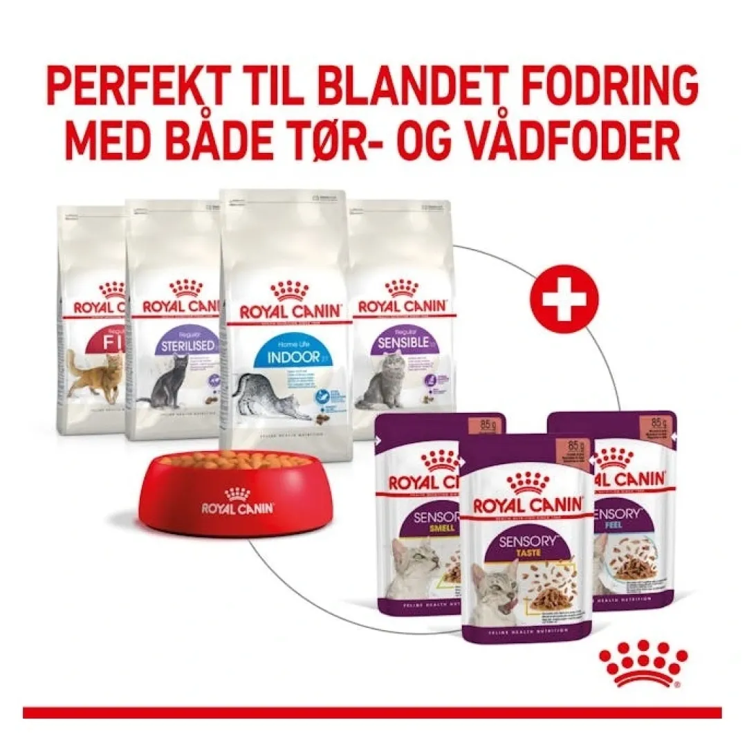 Hot Royal Canin Kattevådmad Sensory Smell Sovs Adult Kattefoder & Snacks
