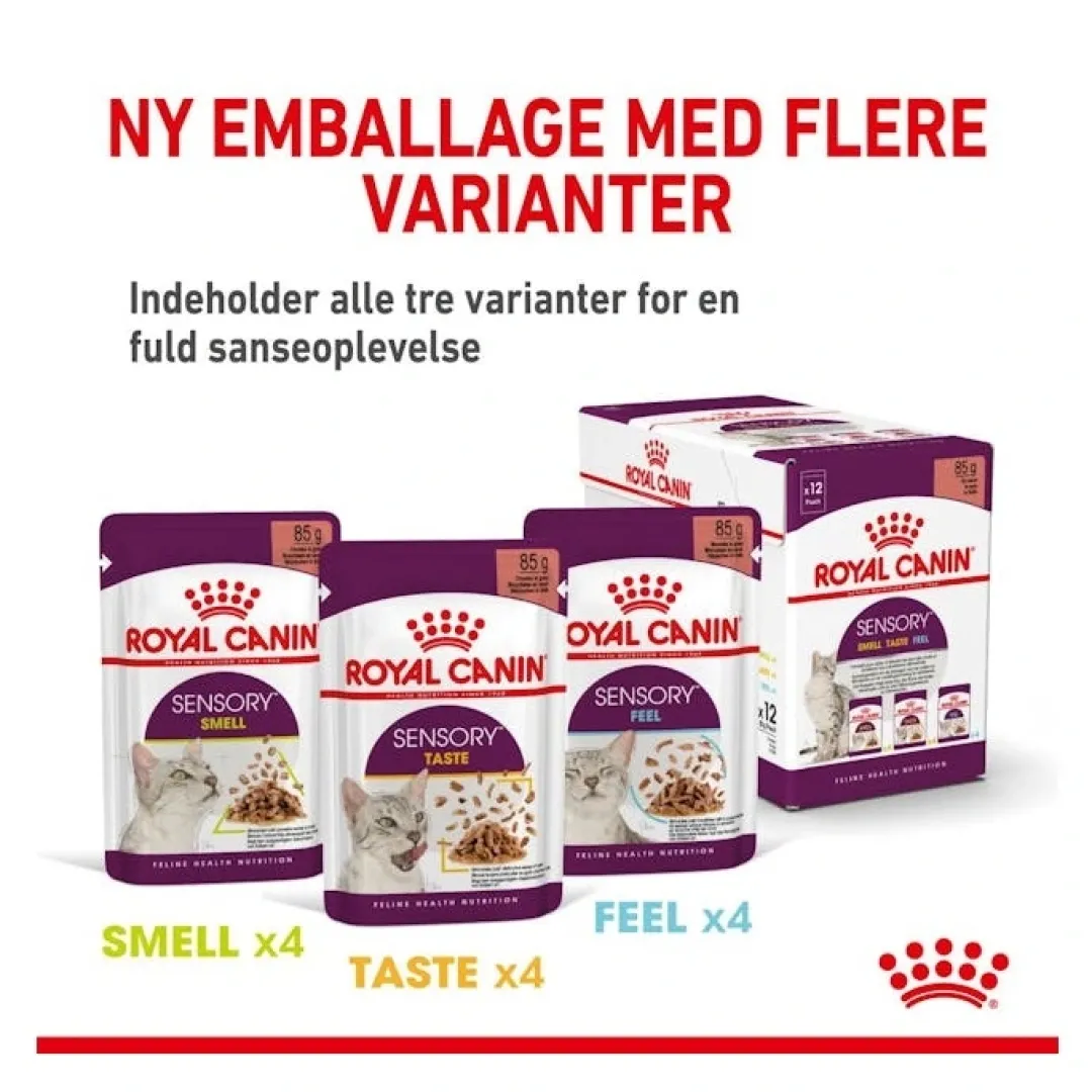Hot Royal Canin Kattevådmad Sensory Smell Sovs Adult Kattefoder & Snacks