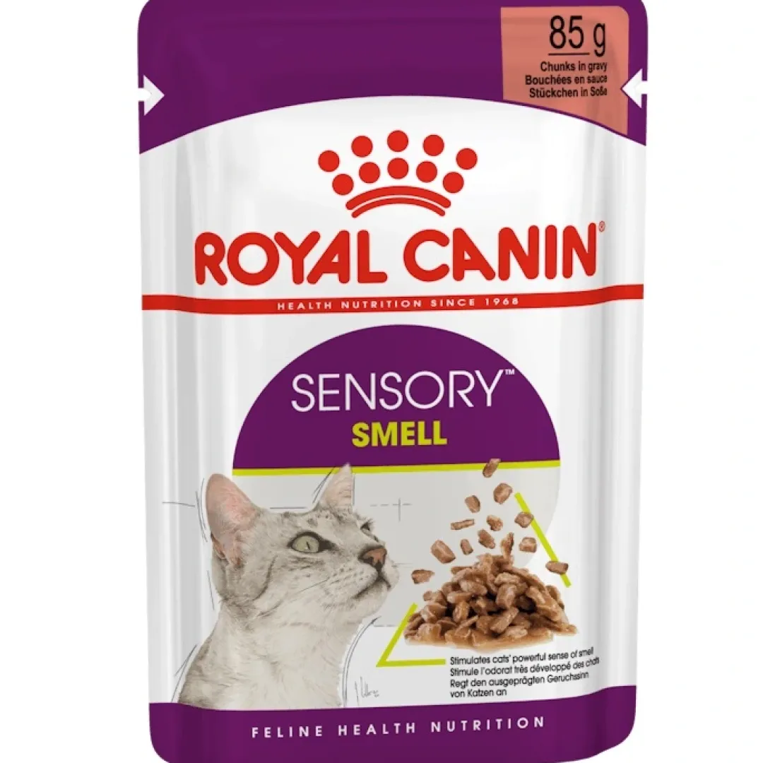 Hot Royal Canin Kattevådmad Sensory Smell Sovs Adult Kattefoder & Snacks
