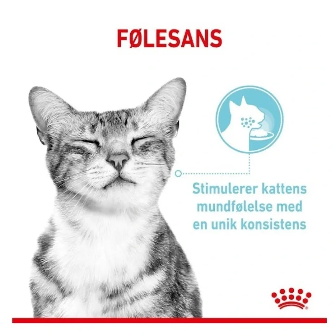 Online Royal Canin Kattevådmad Sensory Feel Sovs Adult Kattefoder & Snacks