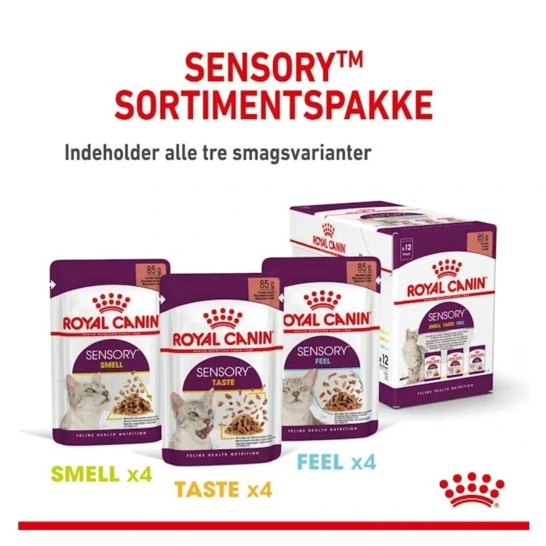 Online Royal Canin Kattevådmad Sensory Feel Sovs Adult Kattefoder & Snacks