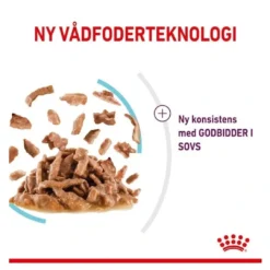 Online Royal Canin Kattevådmad Sensory Feel Sovs Adult Kattefoder & Snacks