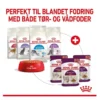 Sale Royal Canin Kattevådmad Sensory Taste Sovs Adult Kattefoder & Snacks