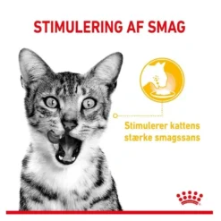 Sale Royal Canin Kattevådmad Sensory Taste Sovs Adult Kattefoder & Snacks