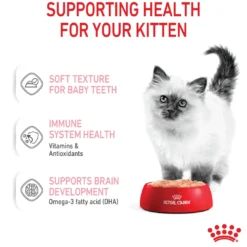 Best Royal Canin Kitten Loaf vådfoder 85 g Killingefoder - Sundt Kattefoder Til Killinger I Alle Racer|Kattefoder & Snacks