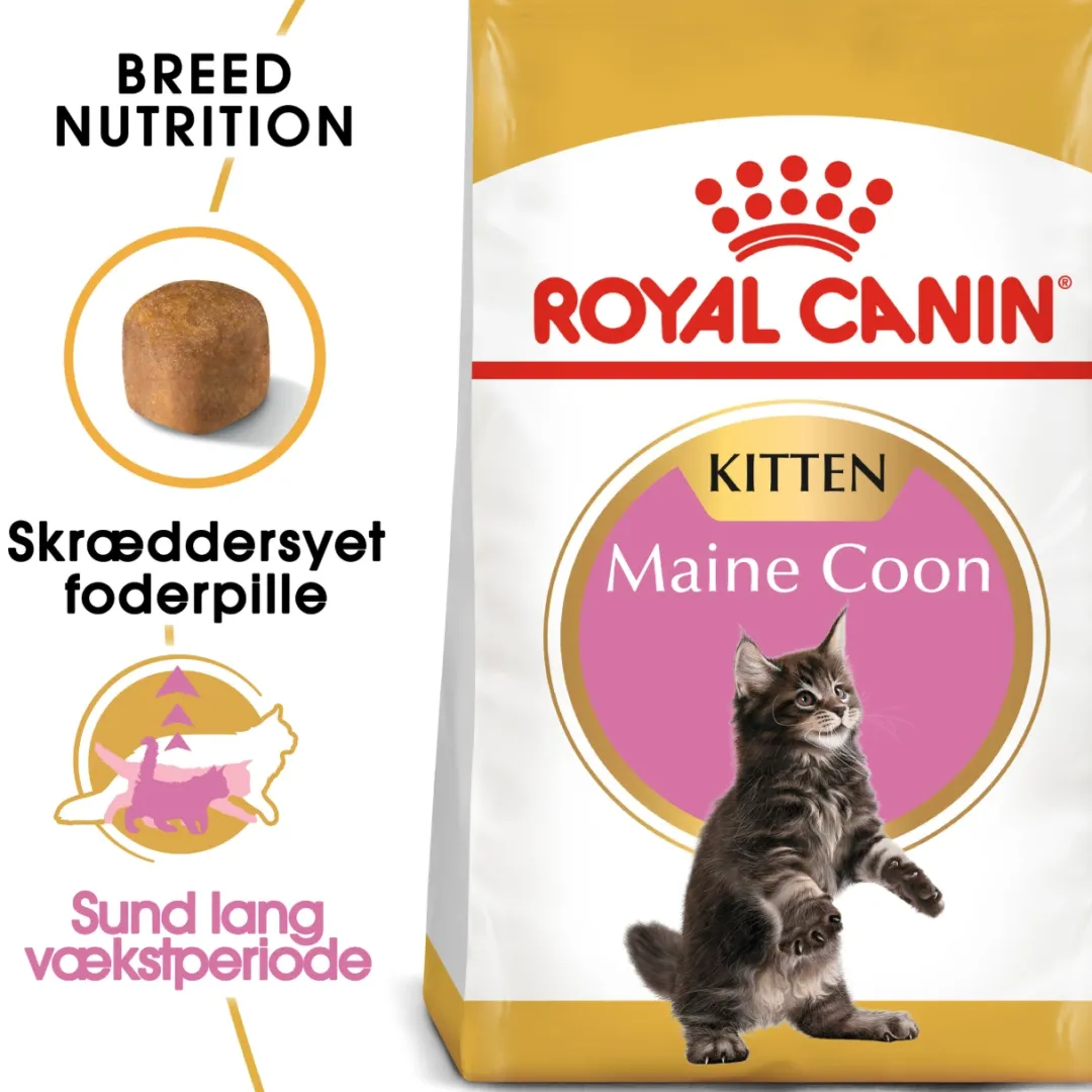 Hot Royal Canin Kitten Maine Coon 10 kg Killingefoder - Sundt Kattefoder Til Killinger I Alle Racer|Kattefoder & Snacks