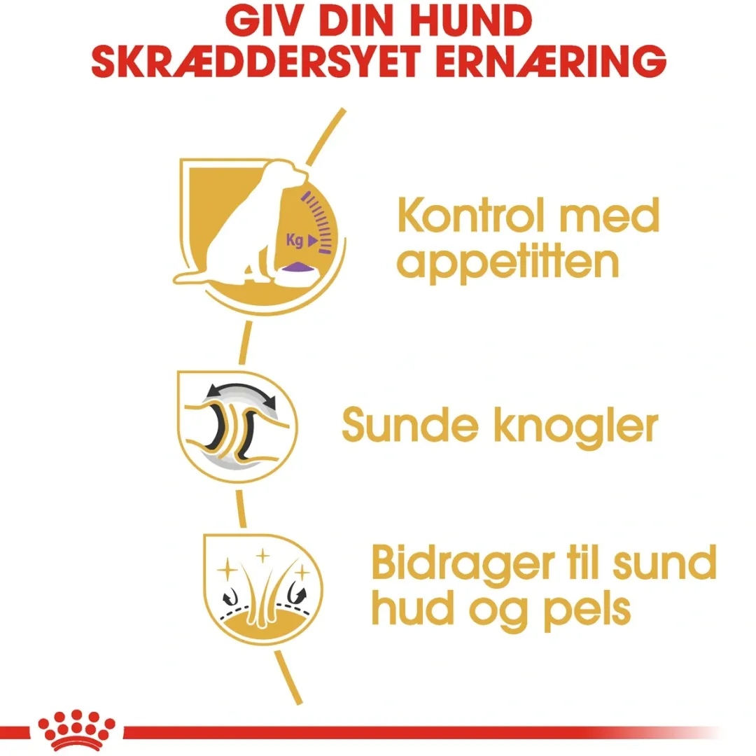 Best Royal Canin Labrador Retriever Sterilised Adult 12 kg - tørfoder til voksne hunde Hundefoder|Tørfoder Til Hunde I Alle Størrelser Og Aldre