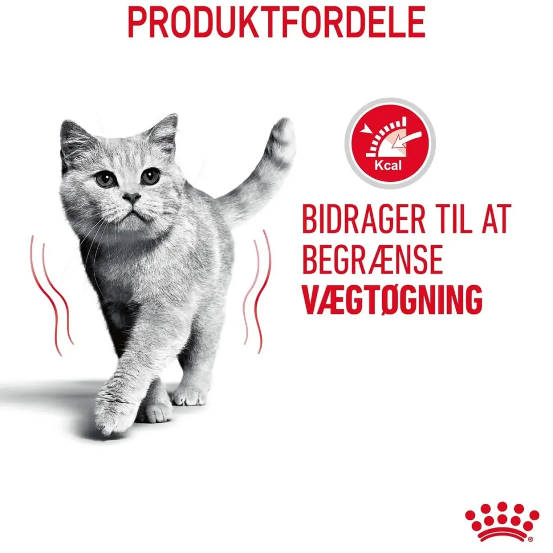 Royal Canin Light Weight Care 1,5 kg Kattefoder & Snacks