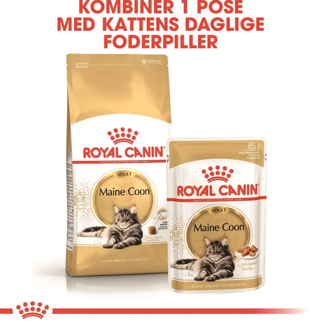Outlet Royal Canin Maine Coon 400 gram Kattefoder & Snacks