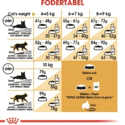 Sale Royal Canin Maine Coon 10 kg Kattefoder & Snacks