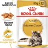 Hot Royal Canin Maine coon Sovs - vådfoder 85 g Kattefoder & Snacks